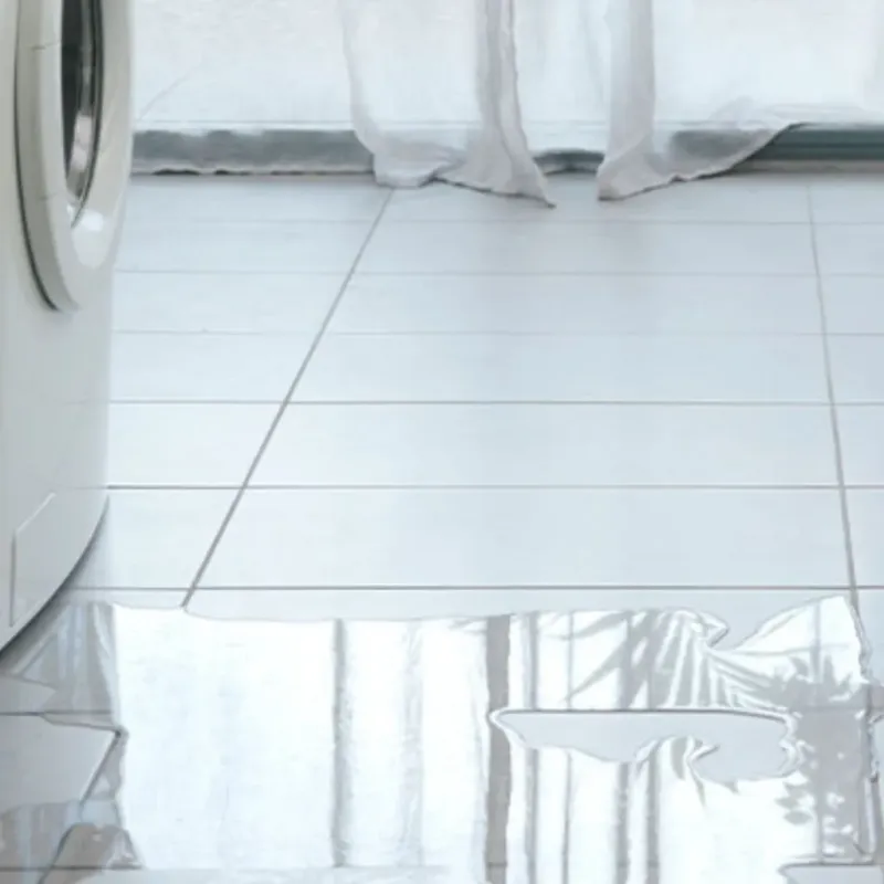 Appliance Leak Cleanup in Lincoln County, NC