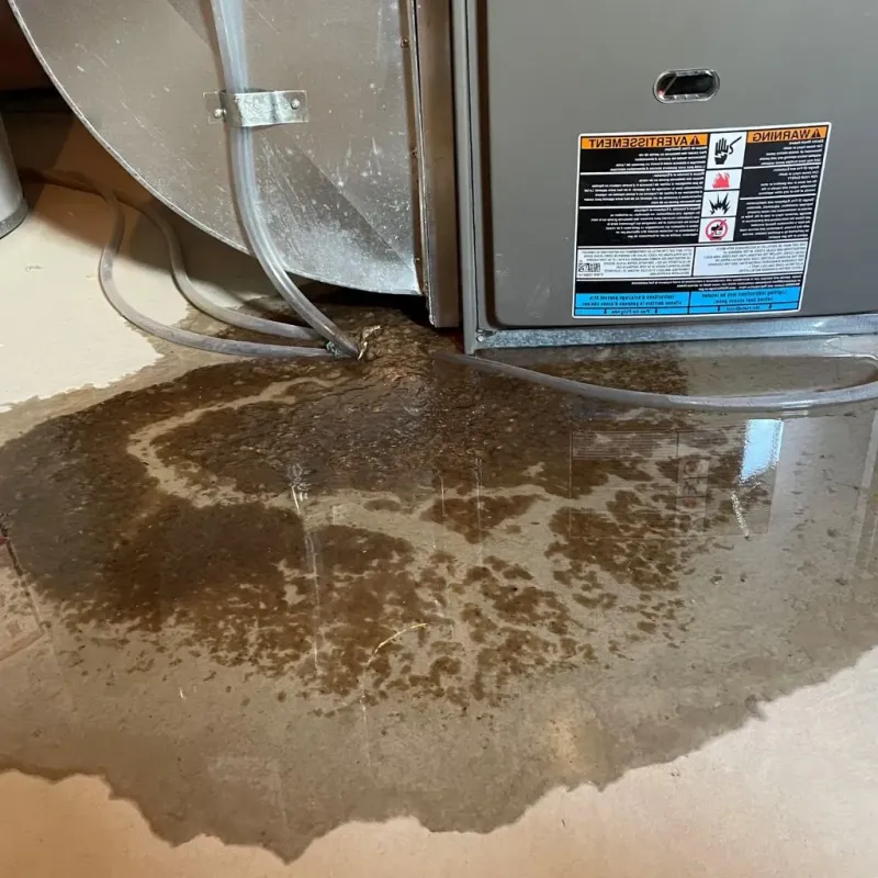 Pipe Burst and Leak Restoration in Lincoln County, NC