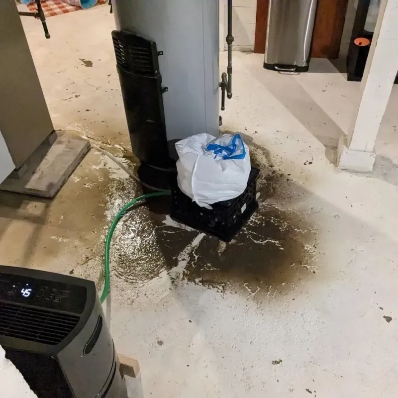 Sewage Backup Cleanup Service in Lincoln County, NC